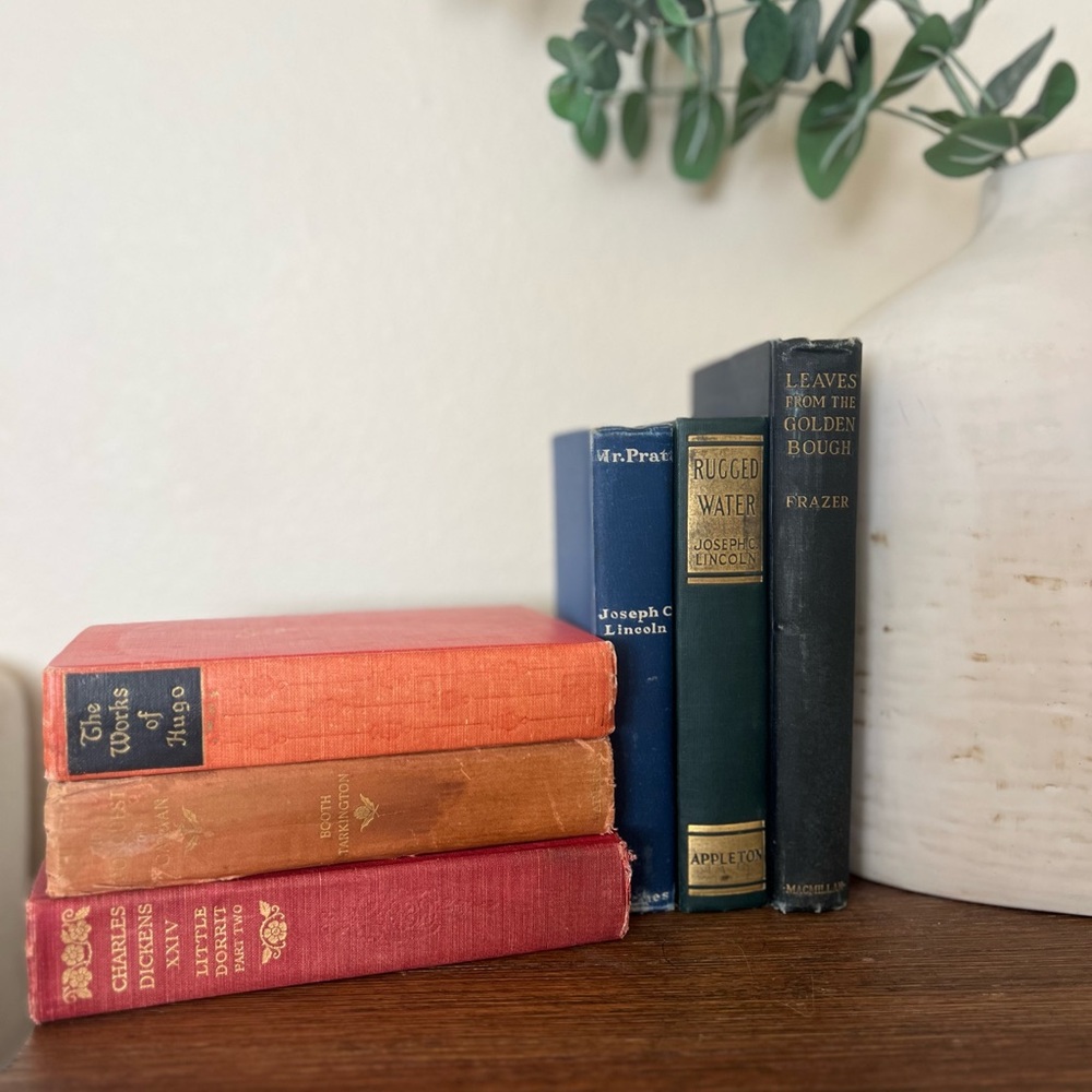 Antique & Vintage Book Collection with Red and Blue Covers | Dickens, Hugo